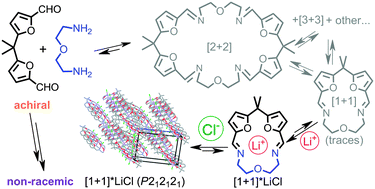 Graphical abstract: Mirror symmetry breaking upon spontaneous crystallization from a dynamic combinatorial library of macrocyclic imines