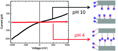 Graphical abstract: Combining a sensor and a pH-gated nanopore based on an avidin–biotin system