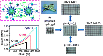 Graphical abstract: Multi-responsive and tough hydrogels based on triblock copolymer micelles as multi-functional macro-crosslinkers