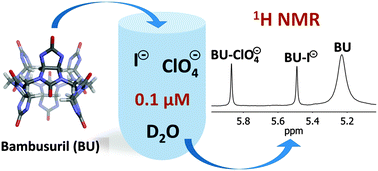 Graphical abstract: Real-time analysis of multiple anion mixtures in aqueous media using a single receptor