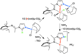 Graphical abstract: Imine-functionalised protic NHC complexes of Ir: direct formation by C–H activation