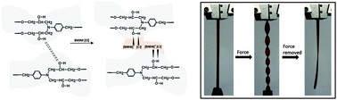 Graphical abstract: Ductile thermoset polymers via controlling network flexibility