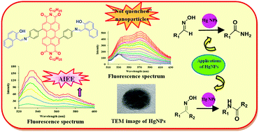 Graphical abstract: AIEE active perylene bisimide supported mercury nanoparticles for synthesis of amides via aldoximes/ketoximes rearrangement