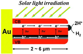 Graphical abstract: Site-selective photodeposition of Pt on a particulate Sc-La5Ti2CuS5O7 photocathode: evidence for one-dimensional charge transfer