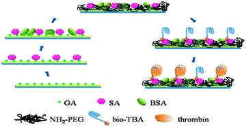 Graphical abstract: An anti-fouling aptasensor for detection of thrombin by dual polarization interferometry