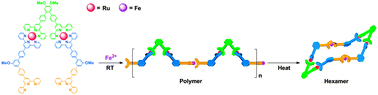 Graphical abstract: Facile thermodynamic conversion of a linear metallopolymer into a self-assembled hexameric metallomacrocycle