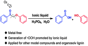 Graphical abstract: Free radical reaction promoted by ionic liquid: a route for metal-free oxidation depolymerization of lignin model compound and lignin