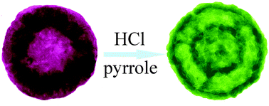 Graphical abstract: The template-assisted synthesis of polypyrrole hollow microspheres with a double-shelled structure