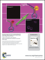 Graphical abstract: Inside back cover