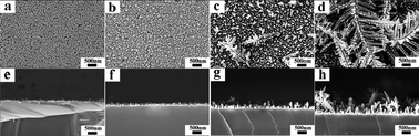 Graphical abstract: Effect of catalyst shape on etching orientation in metal-assisted chemical etching of silicon