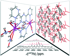 Graphical abstract: Renaissance of the coordination chemistry of 2,4,6-tris(2-pyrimidyl)-1,3,5-triazine (TPymT). Part II: new insights into the reaction of TPymT with Pb(NO3)2