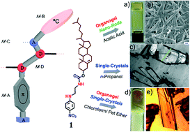 Graphical abstract: Self-assembly patterns of steroid-based all-organic ferroelectrics: valuable insights from the single-crystals derived from an organogel and solution