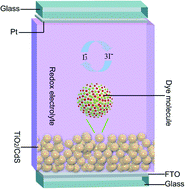 Graphical abstract: CdS quantum dot sensitized anatase TiO2 hierarchical nanostructures for photovoltaic application