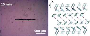 Graphical abstract: Investigating the dissolution of the metastable triclinic polymorph of carbamazepine using in situ microscopy