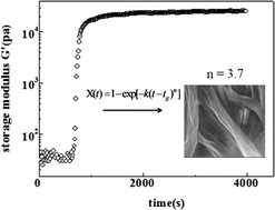 Graphical abstract: Identify kinetic features of fibers growing, branching, and bundling in microstructure engineering of crystalline fiber network