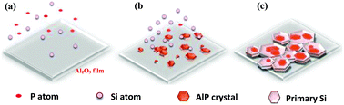 Graphical abstract: The dispersive orientated-precipitation of AlP on alumina film and its effect on the primary Si gathering behavior in the Al–Si alloy surface layer