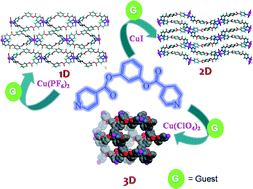 Graphical abstract: 1D, 2D and 3D coordination polymers of 1,3-phenylene diisonicotinate with Cu(i)/Cu(ii): Cu2I2 building block, anion influence and guest inclusions