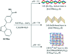 Graphical abstract: Construction of three pH-dependent luminescent metal–organic frameworks with 3-(4-carboxyphen-yl)-1,3-benzoimidazole
