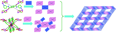 Graphical abstract: An unprecedented (4,8)-connected net featuring gsp2 topology and containing an exceptional coordination mode of acylamide ligand