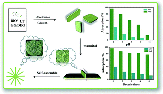 Graphical abstract: Mannitol-assisted solvothermal synthesis of BiOCl hierarchical nanostructures and their mixed organic dye adsorption capacities