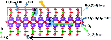 Graphical abstract: Layered photocatalyst Bi2O2[BO2(OH)] nanosheets with internal polar field enhanced photocatalytic activity