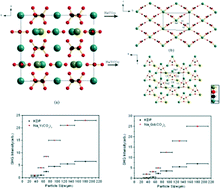 Graphical abstract: Sodium–rare earth carbonates with shorite structure and large second harmonic generation response