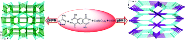 Graphical abstract: Two three-dimensional cadmium(ii) coordination polymers based on 5-amino-tetrazolate and 1,2,4,5-benzenetetracarboxylate: the pH value controlled syntheses, crystal structures and luminescent properties