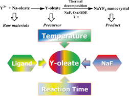 Graphical abstract: A simple and efficient synthetic route for preparation of NaYF4 upconversion nanoparticles by thermo-decomposition of rare-earth oleates