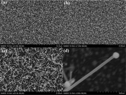 Graphical abstract: Synthesis of mid-infrared SnSe nanowires and their optoelectronic properties
