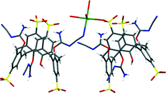 Graphical abstract: Manipulating the conformation and interplay of p-sulfonated calix[4]arenes by lower rim tri-substitution with N′-cyanocarbamimidate groups