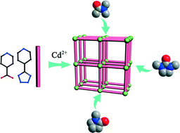 Graphical abstract: Tuning the void volume in a series of isomorphic porous metal–organic frameworks by varying the solvent size and length of organic ligands