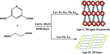 Graphical abstract: A series of lanthanide complexes based on pyridine-3,5-dicarboxylate and succinate ligands: syntheses, structures and properties