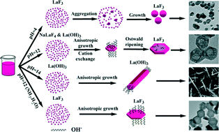 Graphical abstract: Rare-earth doped LaF3 hollow hexagonal nanoplates: hydrothermal synthesis and photoluminescence properties