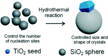 Graphical abstract: Precisely controlled heterogeneous nucleation sites for TiO2 crystal growth