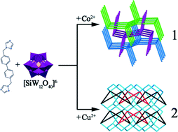 Graphical abstract: Two unprecedented entangled coordination polymers based on α-{SiW12O40}4−