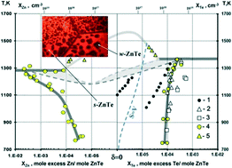 Graphical abstract: Homogeneity limits and nonstoichiometry of vapor grown ZnTe and CdTe crystals