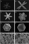 Graphical abstract: 3D AgCl microstructures selectively fabricated via Cl−-induced precipitation from [Ag(NH3)2]+