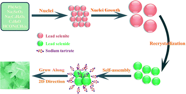 Graphical abstract: PbSe hierarchical nanostructures: solvothermal synthesis, growth mechanism and their thermoelectric transportation properties