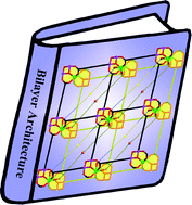 Graphical abstract: Bilayer architecture based on hexanuclear heterometal cluster units