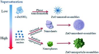 Graphical abstract: Ultra-rapid formation of ZnO hierarchical structures from dilution-induced supersaturated solutions