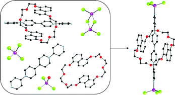Graphical abstract: Metal-binding studies of linear rigid-axle [2]pseudorotaxanes with in situ generated anionic metal halide complexes