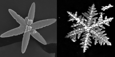 Graphical abstract: Controllable growth of novel BiPO4 dendrites by an innovative approach and high energy facets-dependent photocatalytic activity