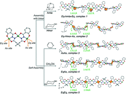 Graphical abstract: Delicate modulated assembly of a new kind of trinuclear copper(ii) motif governed by N-containing agents