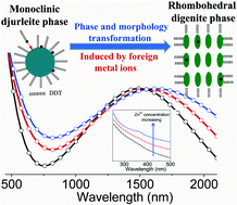 Graphical abstract: Synthesis of Cu2−xS nanocrystals induced by foreign metal ions: phase and morphology transformation and localized surface plasmon resonance