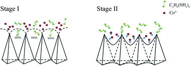 Graphical abstract: Synthesis of hierarchical mushroom-like cobalt nanostructures based on one-step galvanostatic electrochemical deposition