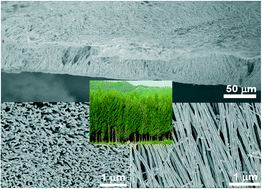 Graphical abstract: Controllable growth of a forest of silver nanowires and their field emission properties