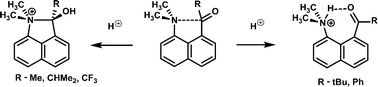 Graphical abstract: O- vs. N-protonation of 1-dimethylaminonaphthalene-8-ketones: formation of a peri N–C bond or a hydrogen bond to the pi-electron density of a carbonyl group