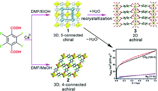 Graphical abstract: Solvent-mediated assembly of chiral/achiral hydrophilic Ca(ii)-tetrafluoroterephthalate coordination frameworks: 3D chiral water aggregation, structural transformation and selective CO2 adsorption