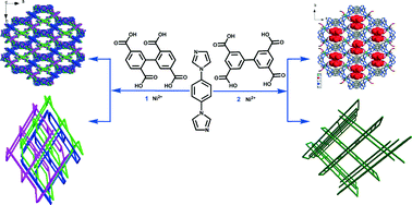 Graphical abstract: Self-assembly and magnetic properties of Ni(ii)/Co(ii) coordination polymers based on 1,4-bis(imidazol-1-yl)benzene and varying biphenyltetracarboxylates