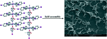 Graphical abstract: The effects of halogen bonding and molecular design on the self-assembly of coordination polymers of Mn(iii)-tetraarylporphyrin with axial bridging ligands